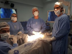 Endogine - Tecnicas basicas en endoscopia ginecologica - Brasil - 201710