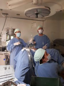 Endogine - Tecnicas basicas en endoscopia ginecologica - Brasil - 201710