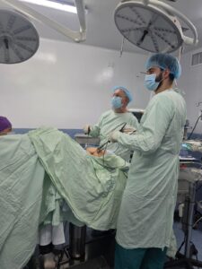 Endogine, Dr Carlos Buitrago, Entrenamientos en Histeroscopia Oficinal y Endoscopia-3